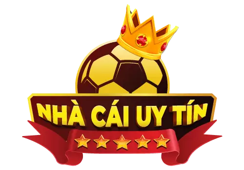 Đá Gà Casino Hôm Nay
